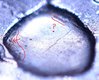 Lake Huron Crater Quater Closeup.JPG