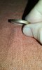20170418_224212.jpg