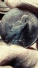peace33rIMG_20170505_042237.jpg