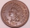 1876 Indian Ob-2.jpg