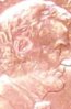 2006 4 close.jpg