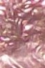 2006 11.jpg
