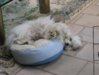 Henry Asleep 002.jpg