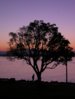 San Diego 2007 065.jpg