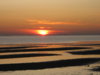 Cape 2009_113.JPG