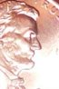 nose2.jpg