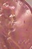 nose3.jpg