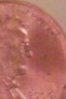 nose4.jpg