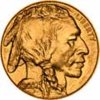 2007usa50dollarbuffaloobv120.jpg