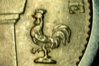 French Rooster.jpg
