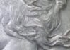 1921-1 a.jpg