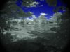 infrared pond.jpg