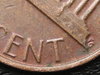DSCN6951.JPG