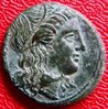 Pyrrhus2711.jpg