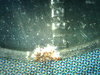 PICT0027.JPG