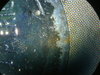 PICT0028.JPG