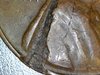 S20170523_0002.jpg