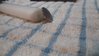 20170514_010655_HDR_opt.jpg