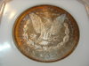 DSCN7371.JPG