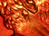 DSCN4432.jpg
