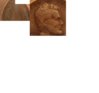 cut pics of the 1913 d.jpg