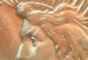 1923%20MS-64%20Pcgs%20%20Peace%20holder%201.jpg
