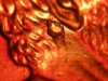 DSCN4432.jpg
