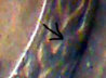 diechip.jpg