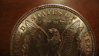 morgan dollar reverse top.JPG