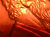 DSCN4701.JPG