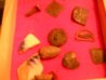 DSCN4718.jpg