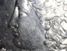 1886oVAMCheek-1.jpg