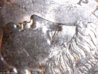 1886oVAMCheek-2.jpg