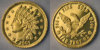 indian_gold_2009_200.jpg