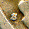 img327.jpg