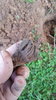 20170529_163039.jpg
