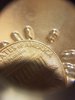 20170611_153302.jpg