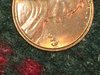 IMG_1210.JPG