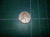 penny 7.JPG