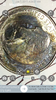 magnifier_20170607_042627.png