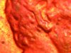 DSCN4853.jpg