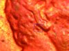 DSCN4853.jpg