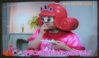 DSCF4652_600.jpg