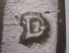 DSCN4348.jpg