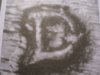 DSCN4349.jpg