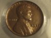 1925 D MS 63 BN PCGS (3).jpg