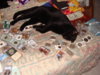 DSC00231.JPG