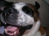 DSCN5409.jpg