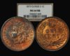 1873 Cl 3 NGC MS64 RB.jpg