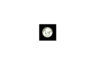 1934D_obverse_flash.jpg